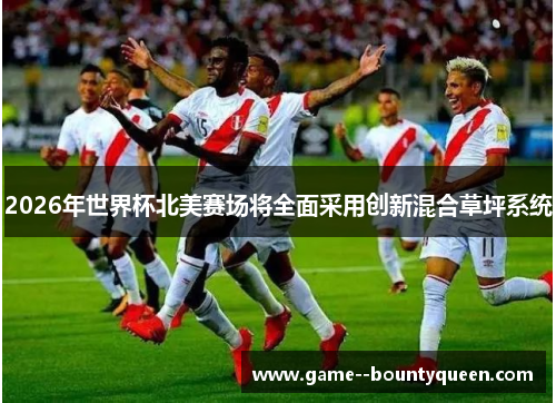 2026年世界杯北美赛场将全面采用创新混合草坪系统 2026年世界杯北美赛场将全面采用创新混合草坪系统