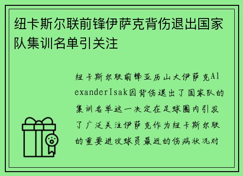 纽卡斯尔联前锋伊萨克背伤退出国家队集训名单引关注 纽卡斯尔联前锋伊萨克背伤退出国家队集训名单引关注